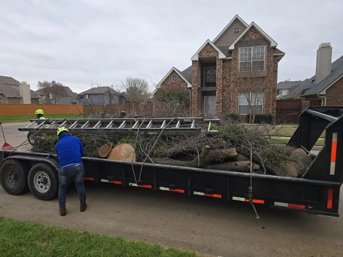 Expert Lot Clearing with proper safety equipment in Monument